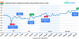 september-week-4-despite-fluctuations-wheat-market-thrives-in-india