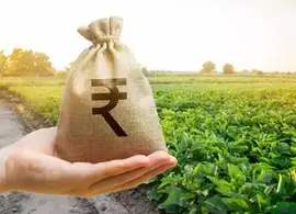 Indian Government Implements Modified Procedure for Faster Release of Fertilizer Subsidy via DBT System