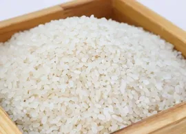 Asia Rice: India prices slip to near 3-month low on weak demand