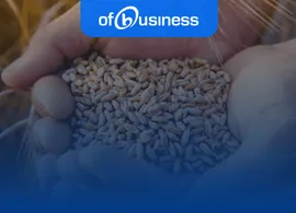 OfBusiness Grains Daily Market Report | 27th April 2024