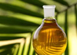 Palm oil snaps six-day losing streak on soyoil strength