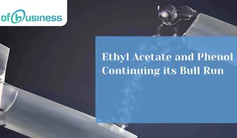 Ethyl Acetate and Phenol Continuing their Bull Run