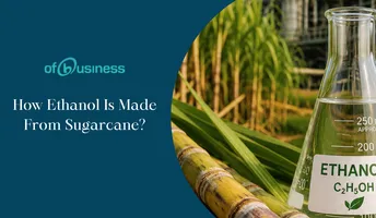How Ethanol Is Made From Sugarcane?