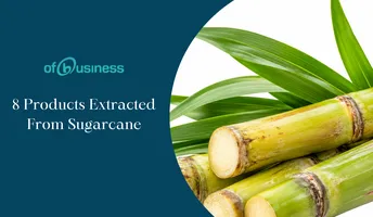 8 Products Extracted From Sugarcane (Apart From Sugar And Ethanol)