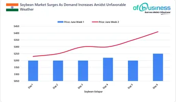 Soybean Market Surges As Demand Increases Amidst Unfavorable Weather