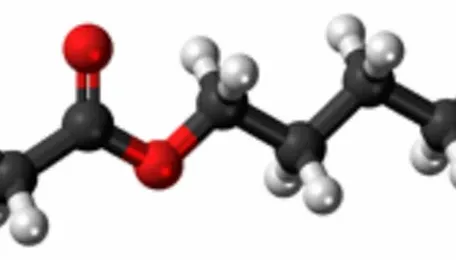 Supply-Demand Disruption Causes the Global Butyl Acrylate Market to Fluctuate