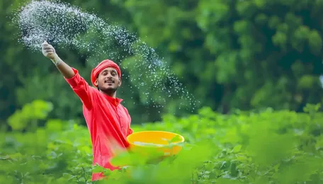 Rashtriya Chemicals, Chambal Fertilisers, GNFC: Why fertiliser stocks jumped on March 10