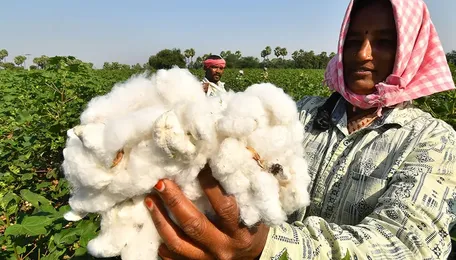 Cotton farmers in Tamil Nadu demand price support measures