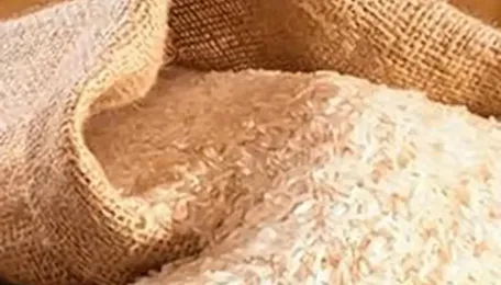 Indian Rice Exports Up 10% In April-May As Basmati Shipments Gain 21%