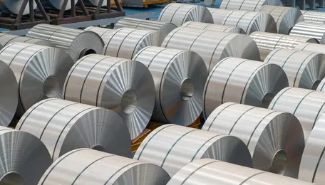 India will support steel exports hit by Europe's carbon tax, says official
