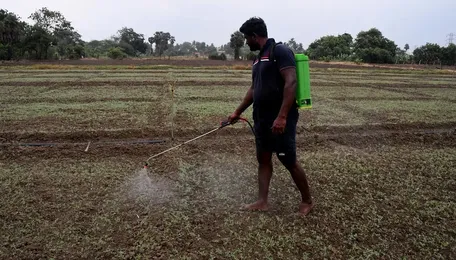 White Paper On Chemicals Industry Moots Alternatives To Fertilizer Subsidy