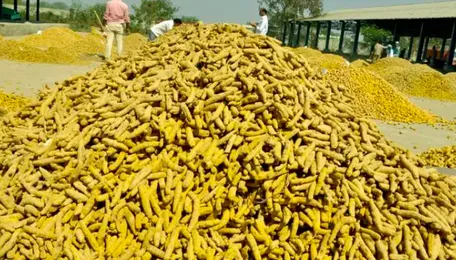 Processing Units to be Set up by CWC in State