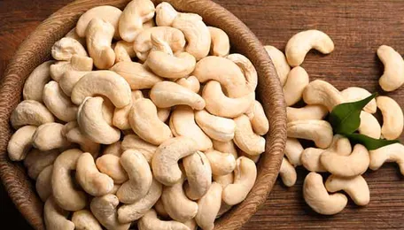 Revitalising Cashew Sector in Goa