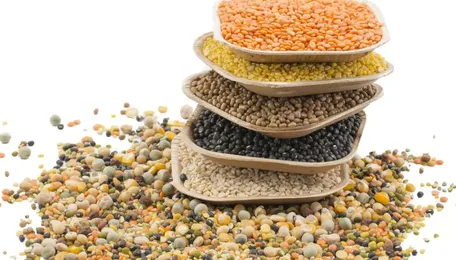 Ukraine Exports Over 42.4Mt of Grains, Pulses