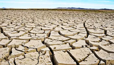 Govt Sets a Record Production of 332MT Millets, OilSeed, Pulses and Other; Despite EL Nino’s Effect