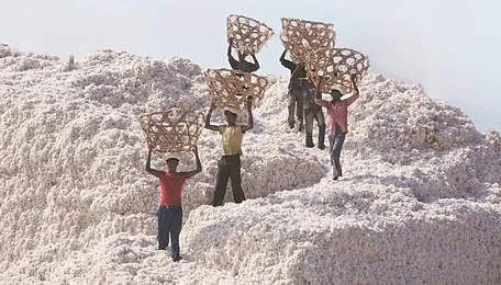 Cotton yarn, fabric, handloom exports up 7% to $11.7 bn in FY24, shows data