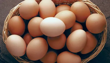 Namakkal poultry farmers want to put all their eggs in one basket