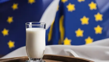 EU Milk Collections Could be Stabilizing