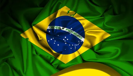 Brazil Uneasy Over Possible Hpai Vaccine-Incurred Trade Barriers