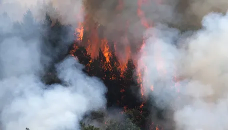 World faces $800bn annual bill as climate disasters batter infrastructure, warns global coalition CDRI