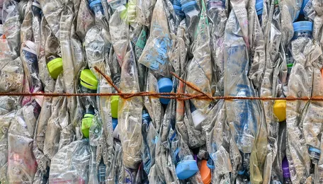 Scientists turn plastic into valuable chemicals using sunlight and old battery acid