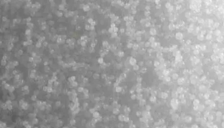 Gujarat Heavy Chemicals’ earnings decline amid soda ash market pressures