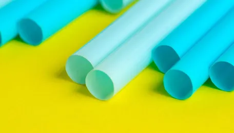 Georgia to Enforce Ban on Key Single-Use Plastics from January 2026