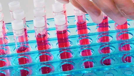 altM Launches Integrated Biorefinery Pilot to Advance Post-Petrochemical Materials 