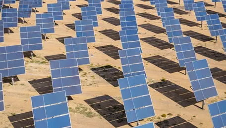 Green Energy Revolution: Madhya Pradesh Invites Green Energy Investments, Unveils Major Opportunities for Renewable Projects 