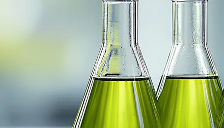 GNFC Raises Acetic Acid Prices by ₹X/MT Effective October 28, 2025