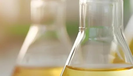 India Advances Specialty Chemicals and Battery Materials Capacity
