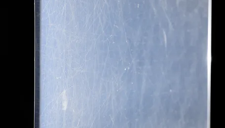 Bisphenol A Prices Hold Firm in the US Amid Tight Asian Supply and Higher Freight Costs