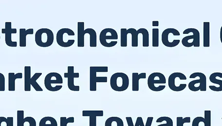 World Petrochemical Catalysts - Market Analysis, Forecast, Size, Trends and Insights 