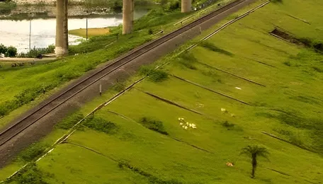Officials make sudden U-turn on crucial energy policy without explanation: 'Setback to investors' 