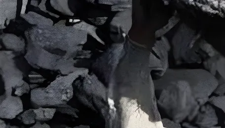 India Coal Auction: Demand and Price Trends 