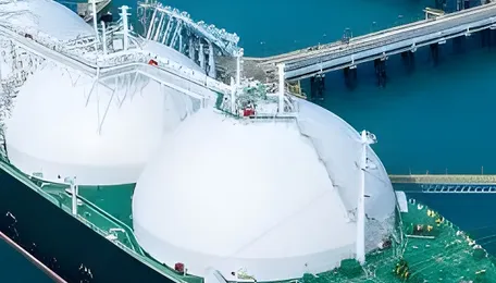 Asia’s LNG demand slumps for second year: Wood Mackenzie