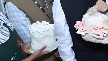 Bengaluru Rural Hosts Free Mushroom Farming Programme