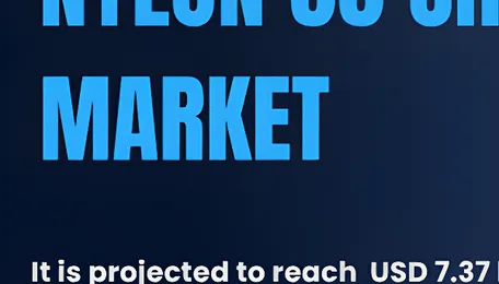 Global Nylon 66 Chips Market to reach USD 7.37 billion by 2031, Growing at 1.7% CAGR 