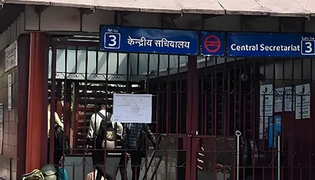 Delhi Metro To Plant Over 28,000 Trees, Saplings Across 991 Locations 
