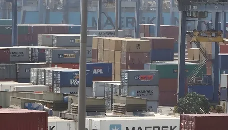 India launches anti-dumping probe into nylon-6 chip imports from China, Russia 