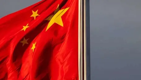 China solar exports to South, Southeast Asia and Africa rise despite post-rebate slump