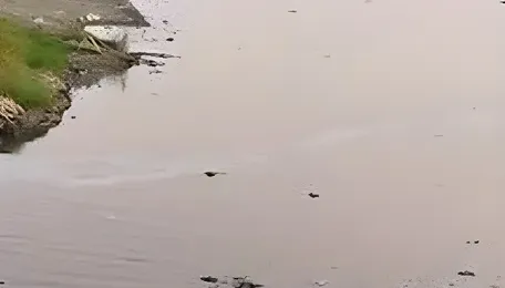 Hyderabad Citizens Flag Lake Pollution Urban Risks