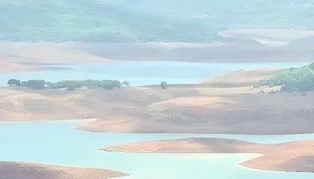 Koyna dam storage down to 16.15%; power generation curtailed 