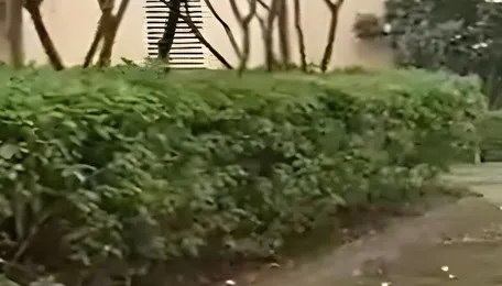 Gurugram Road Projects Align With Pollution Control Push