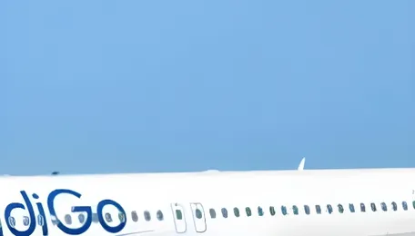 IndiGo flight lands in Guangzhou as airline resumes direct India-China services