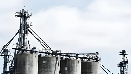 What The Centre Said On Meeting India's Rising Demand For Crude Oil, Natural Gas? 