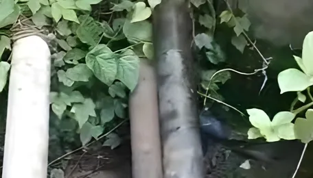 Gas leak reported after suspected oil theft attempt near Baghjan in Assam's Tinsukia - 
