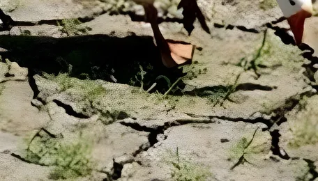 Peak Power Demand 270 GW This Summer 