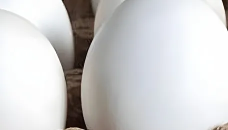Bengaluru Egg Prices Rise Amid Supply Chain Pressures