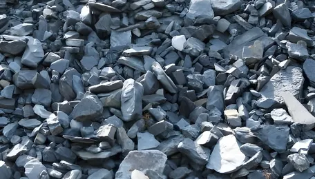 Asian coking coal prices showed mixed dynamics in November 